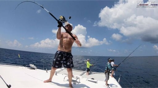 Popping Kamışları