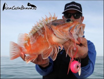 Kanji Risky Tairis Spare Rig Slider Yedek Asist İğne #05 EBI RED GLOW