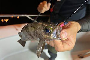 Daiwa Gekkabijin Darting LRF Jighead SS 1 gr #8