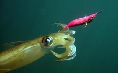 Metal Squid Jig 9cm 15g Kalamar Jokası