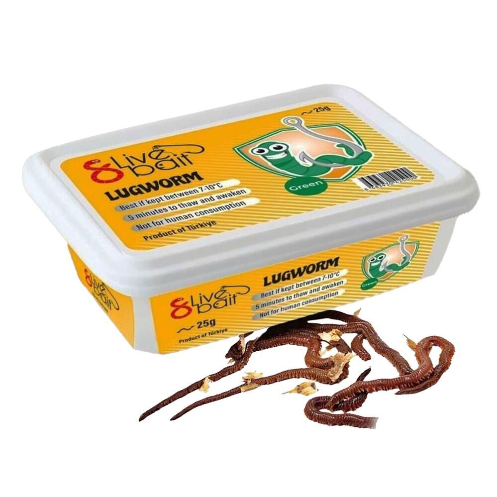 Lung Worm 8 Live Bait Çin Kurdu (Canlı Kurt)