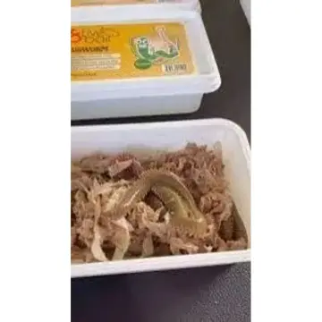 Lung Worm 8 Live Bait Çin Kurdu (Canlı Kurt)