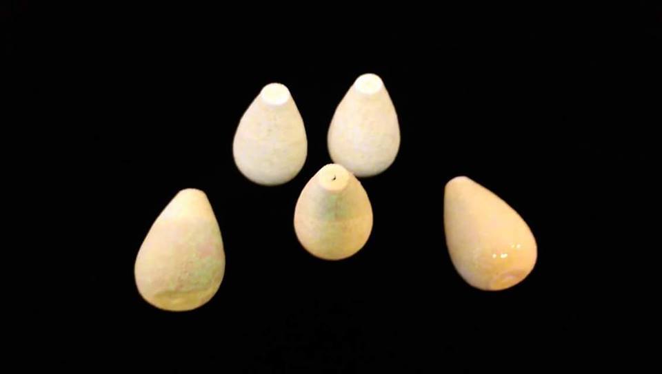 Fosforlu Lüfer-Sarıkanat-Çinekop Takım Mantarı Konik Tipi