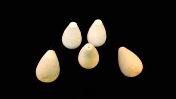 Fosforlu Lüfer-Sarıkanat-Çinekop Takım Mantarı Konik Tipi