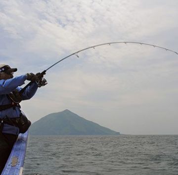 Palms Grandspy Jig Kamışı GPGC-63M