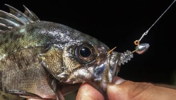 Tict Mebasta Mabaring Star Jig Head M 2 gr