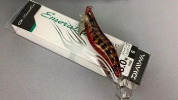 Daiwa NEW Emeraldas Nude 14gr Kalamar Zokası 6