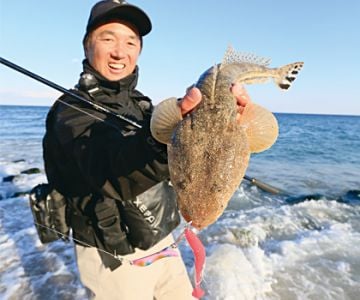 Shimano Dolphin Kicker Silikon Yem