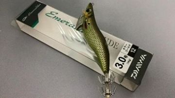 Daiwa NEW Emeraldas Nude 14gr Kalamar Zokası 12