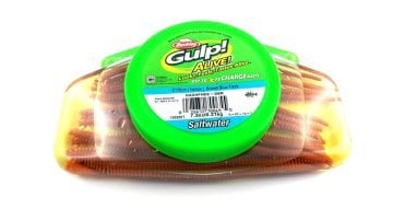 Berkley Gulp Sandworm Nereis 15 cm Kavanoz Brown Blue Fleck BBF