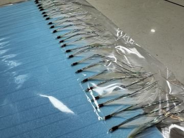 Kasnaklı Palamut Çaparisi 50 İğneli Beyaz