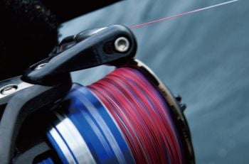 Daiwa Saltiga 12 Braid 0,8 PE (12 Kat İp Misina 200 Mt )