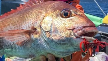 Yamashita Maria Marugata Slider Jig 150 Gr