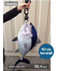 Hapyson Su Geçirmez Telefon Kılıfı ve Balık Ölçme Aparatları