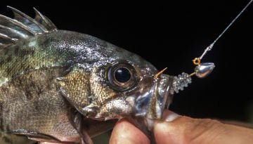 Tict Mebasta Mabaring Star Jig Head M-1 Gr