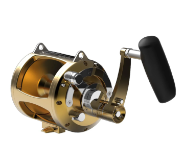 Avet Pro EXW50/3 Üç Vites Çıkrık Olta Makinesi Sağ Kol Gold