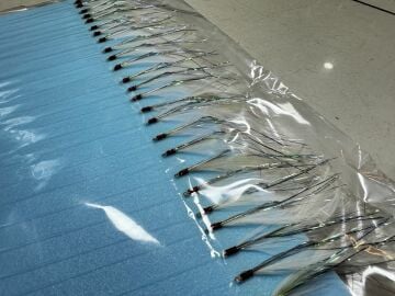 Palamut Çaparisi 15 İğneli Beyaz