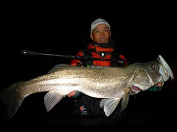 Megabass Marine Gang 120mm Sahte Balık GG Bora