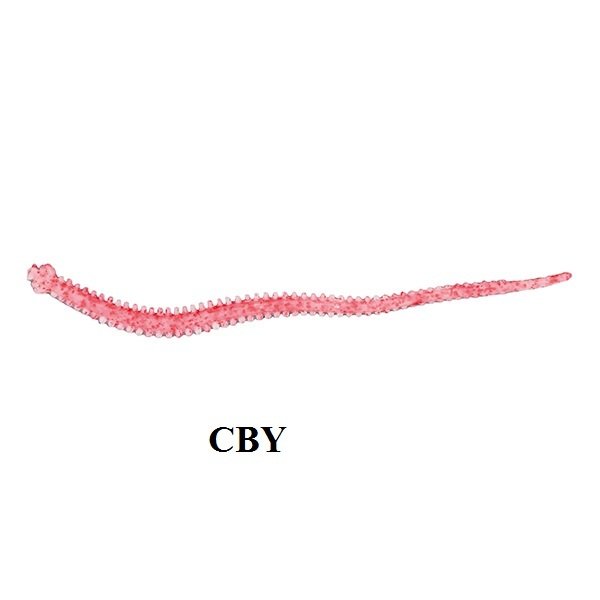 Berkley Gulp Sandworm 4 inç İsome Type Hosomi  MB Kokulu Kurt CLBY