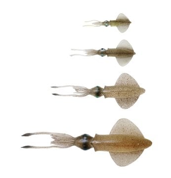 Savage gear Swim Squid 25cm 86gr 1 Adet Suni Yem