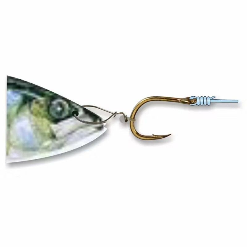Stonfo Nose Rig 1 Canlı Yem Burun Halkası No:1