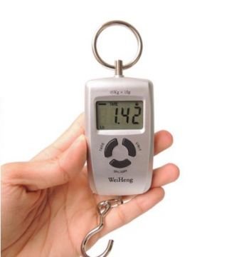 Portable Dijital El Tartısı 45 KG WH-A05