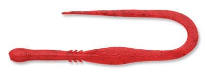 Ecogear Aqua Tairaba Kuwase Curly Slim J08 AKA EBI