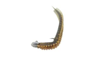 Berkley Gulp! SW Hollow Sandworm 3.8 inç CGC