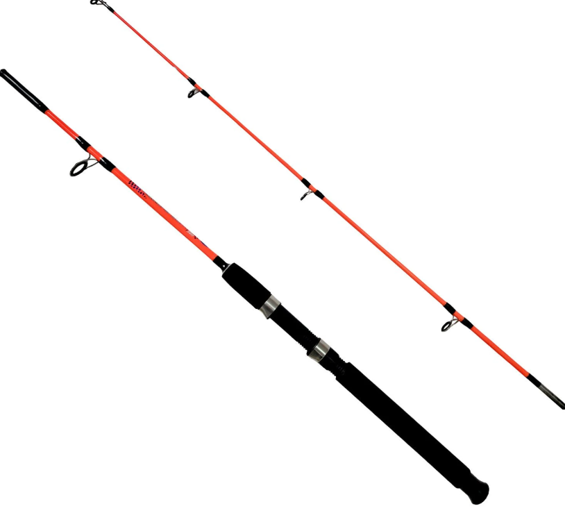 Kendo Holiday Boat 100-250gr 2 Parça Olta Kamışı