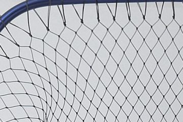 Golden Mean Pense Taşıma Kılıfı