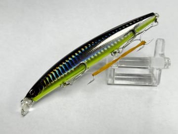 Daiwa Shoreline Shiner Z Vertice 120F