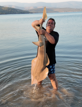 Pandora Black Label 4000 Lrf Olta Makinesi